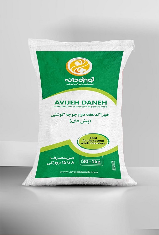 پیش دان